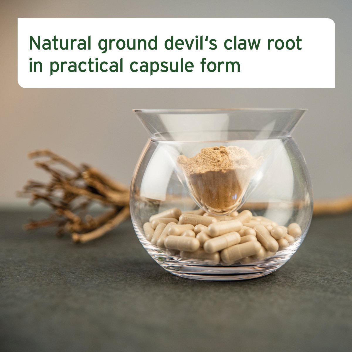 Devil’s Claw Root 100 Capsules - AniForte UK
