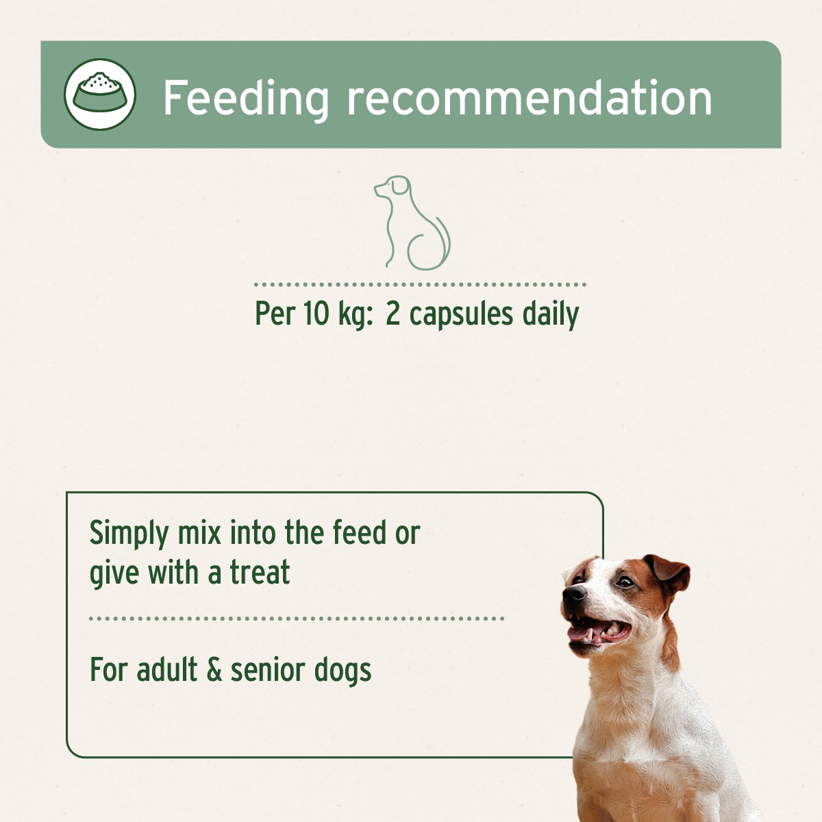 Devil’s Claw Root 100 Capsules - AniForte UK