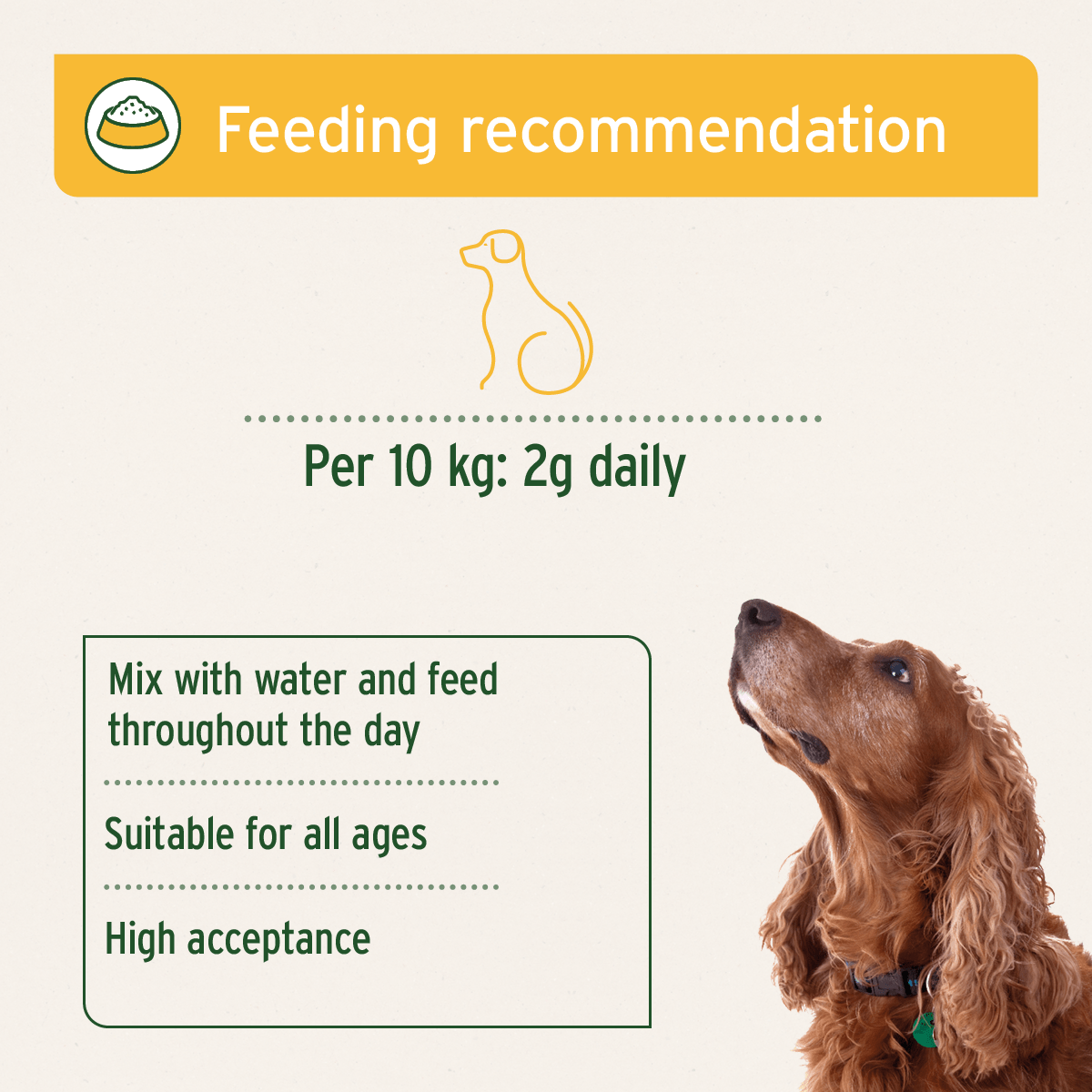 Digestox 500g - Supports Body Detoxification - AniForte UK