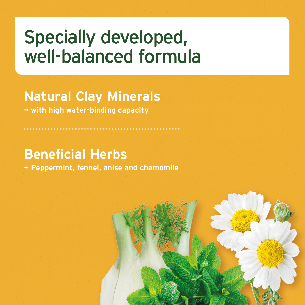 Digestox 500g - Supports Body Detoxification - AniForte UK