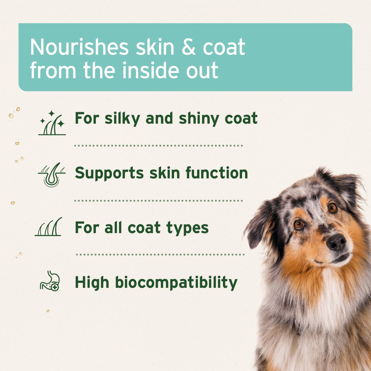 Fur Harmony Feed Oil 500ml - Supports Skin & Coat - AniForte UK