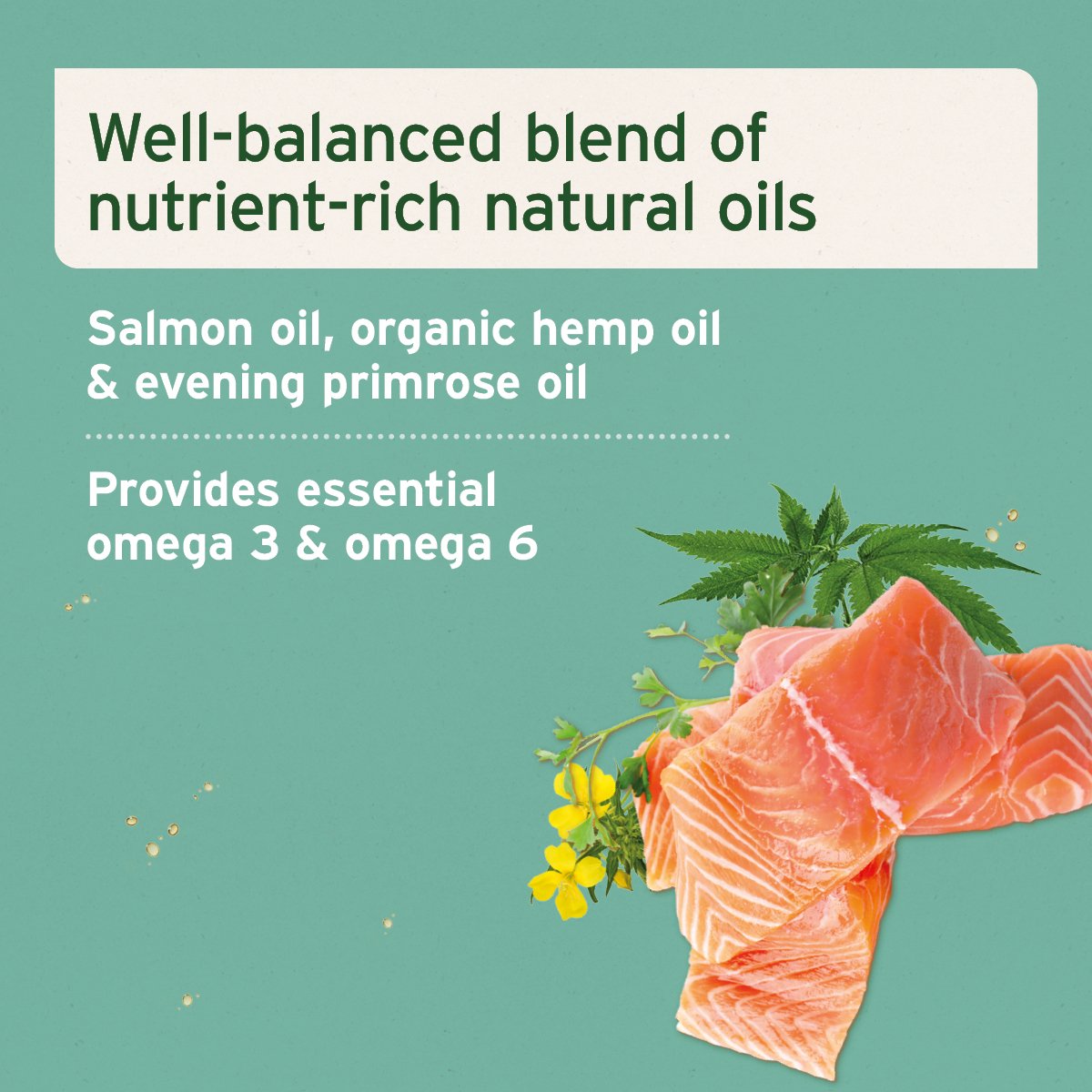 Fur Harmony Feed Oil 500ml - Supports Skin & Coat - AniForte UK