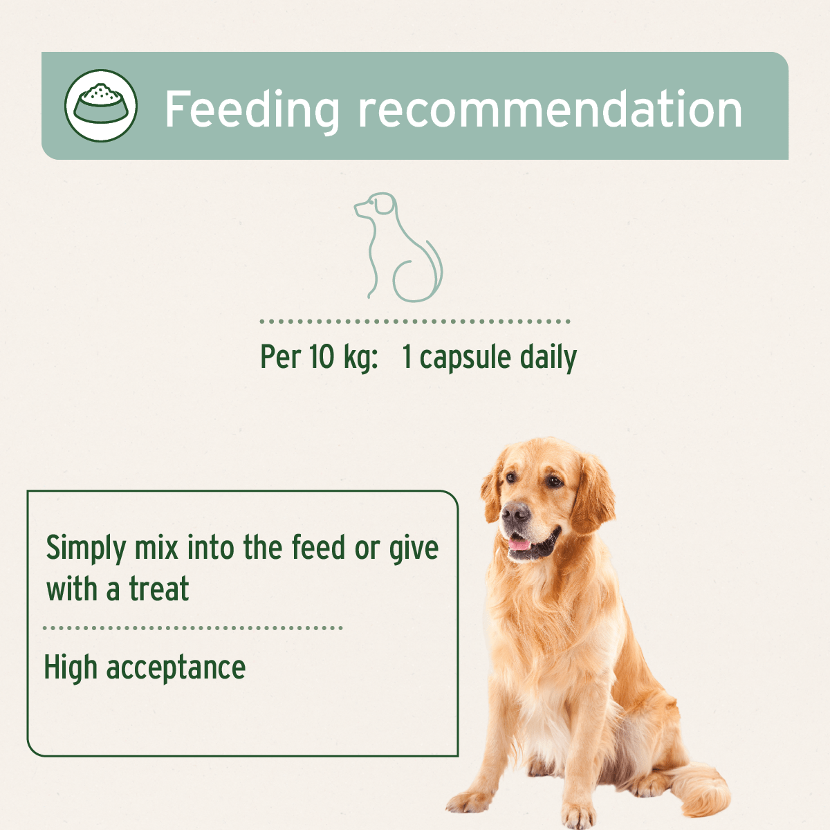 Green Lipped Mussel Capsules for Dogs - Joint Support Supplement - AniForte UK