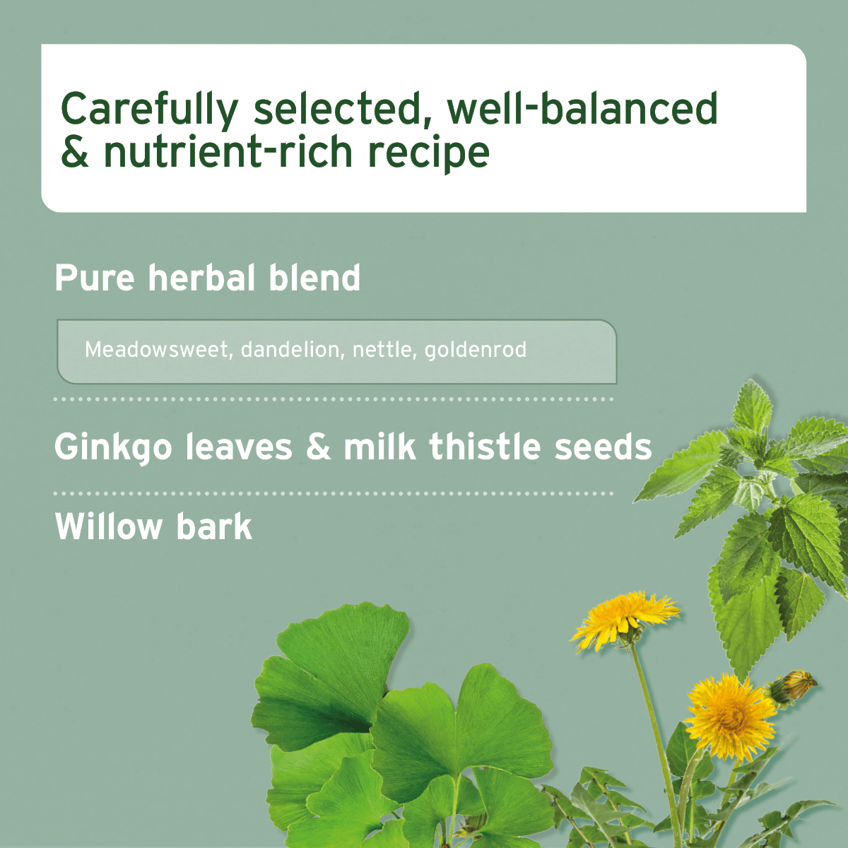 Hoof Acute Supplement for Horses 1kg - AniForte UK