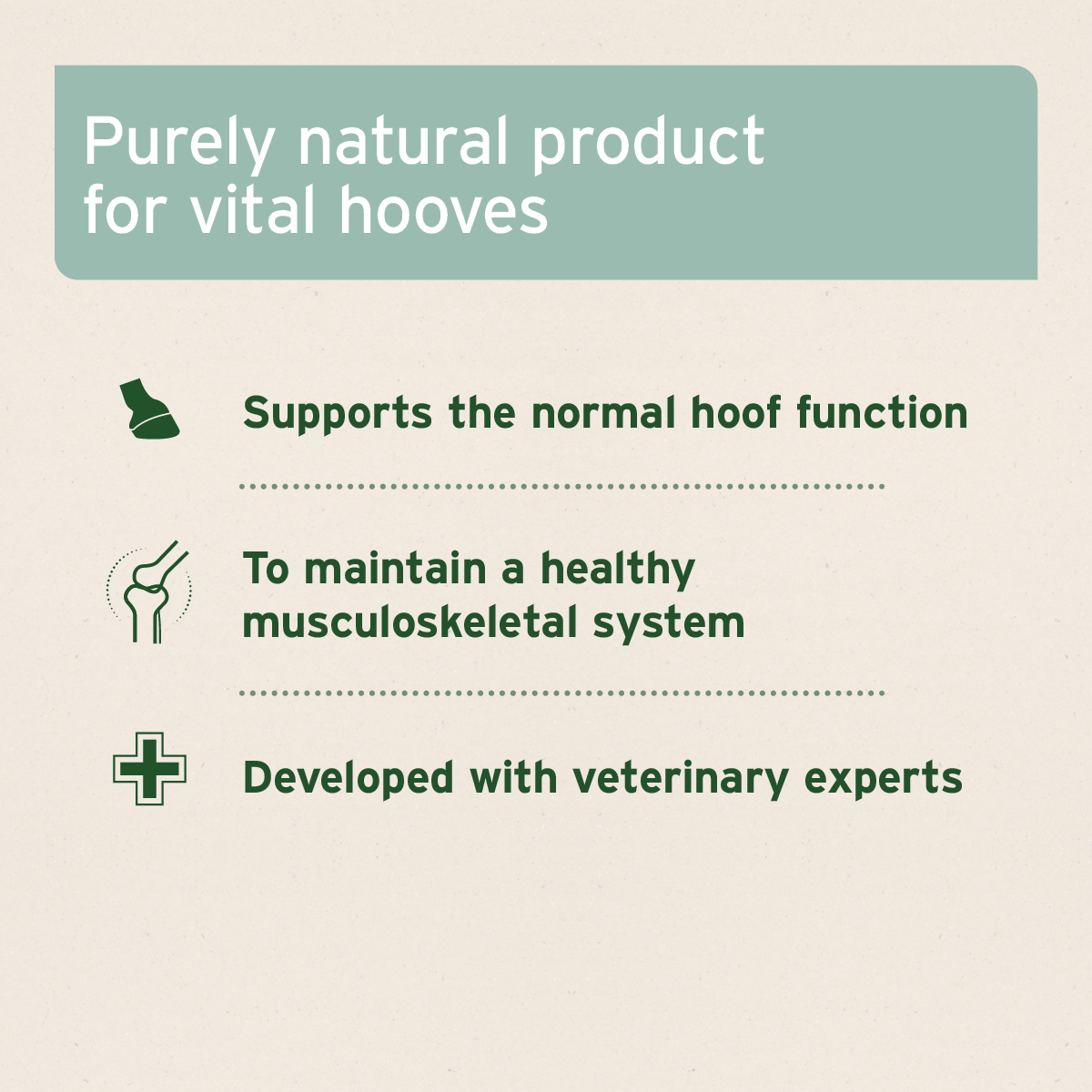 Hoof Acute Supplement for Horses 1kg - AniForte UK