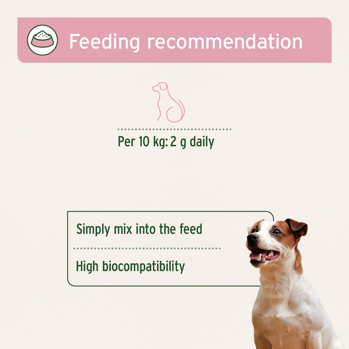 KidneyVetal Powder - AniForte UK