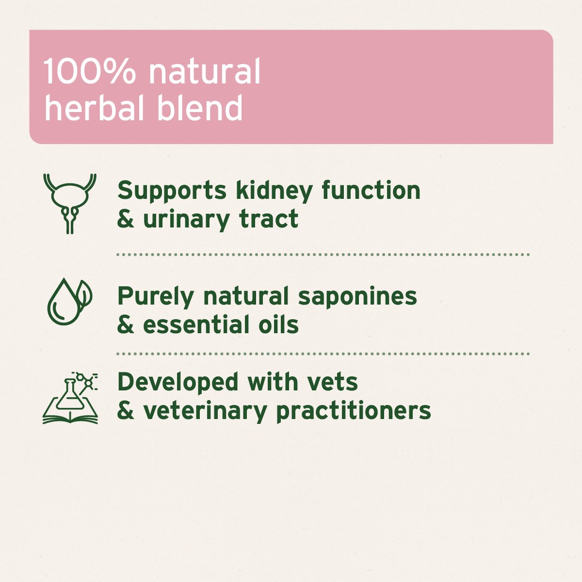 KidneyVetal Powder - AniForte UK