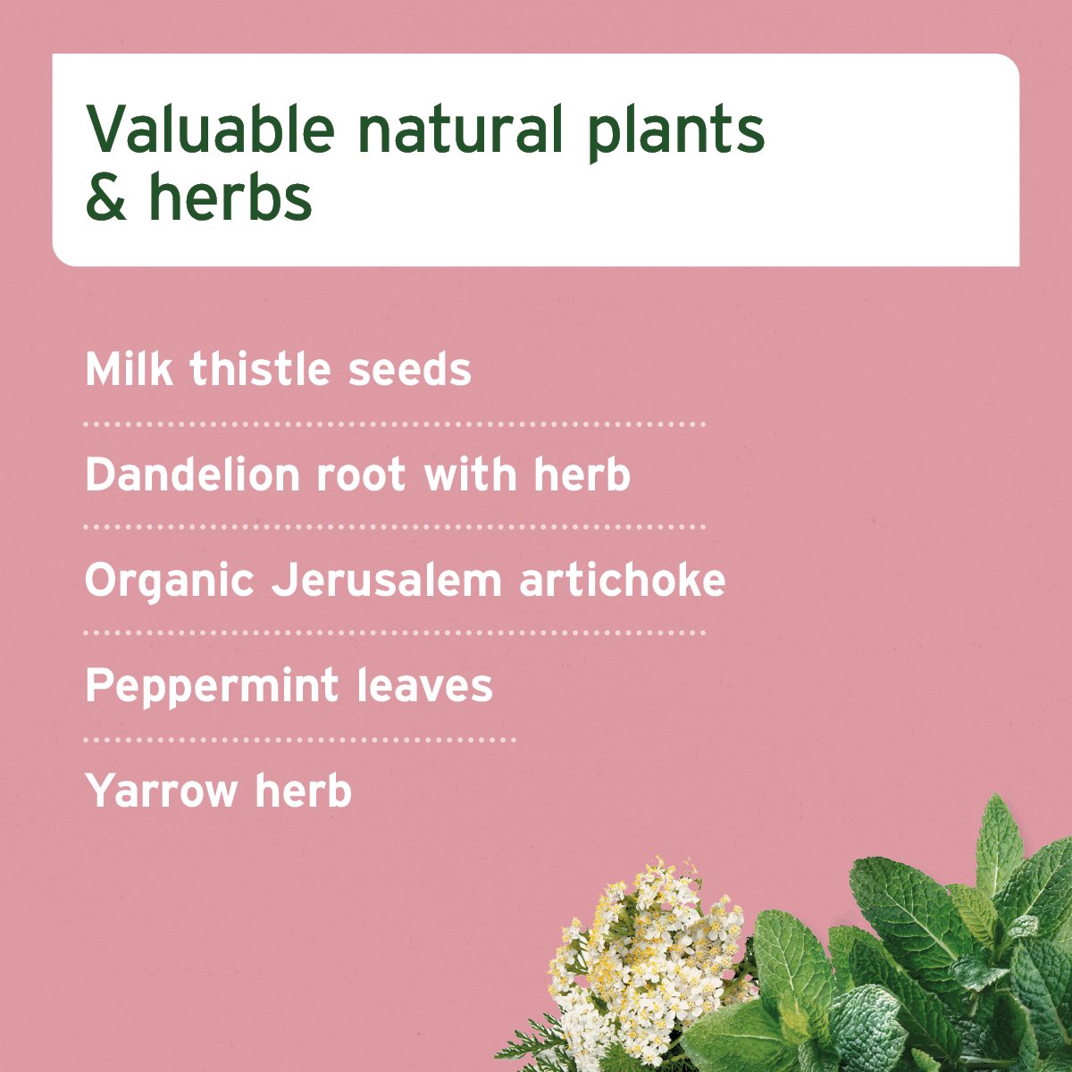 LiverVetal Powder - AniForte UK