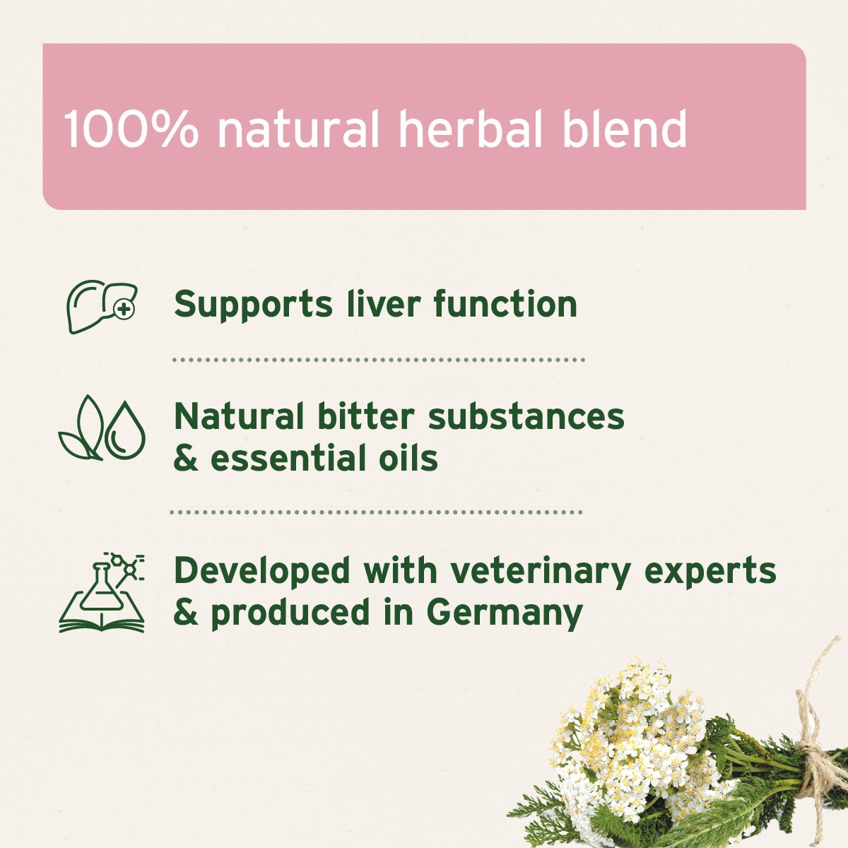 LiverVetal Powder - AniForte UK