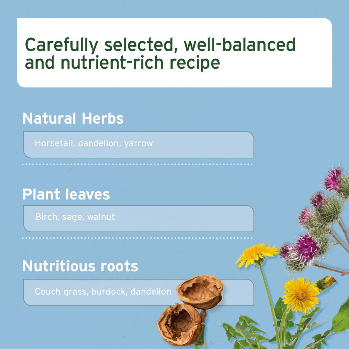 Malanders Formula - AniForte UK