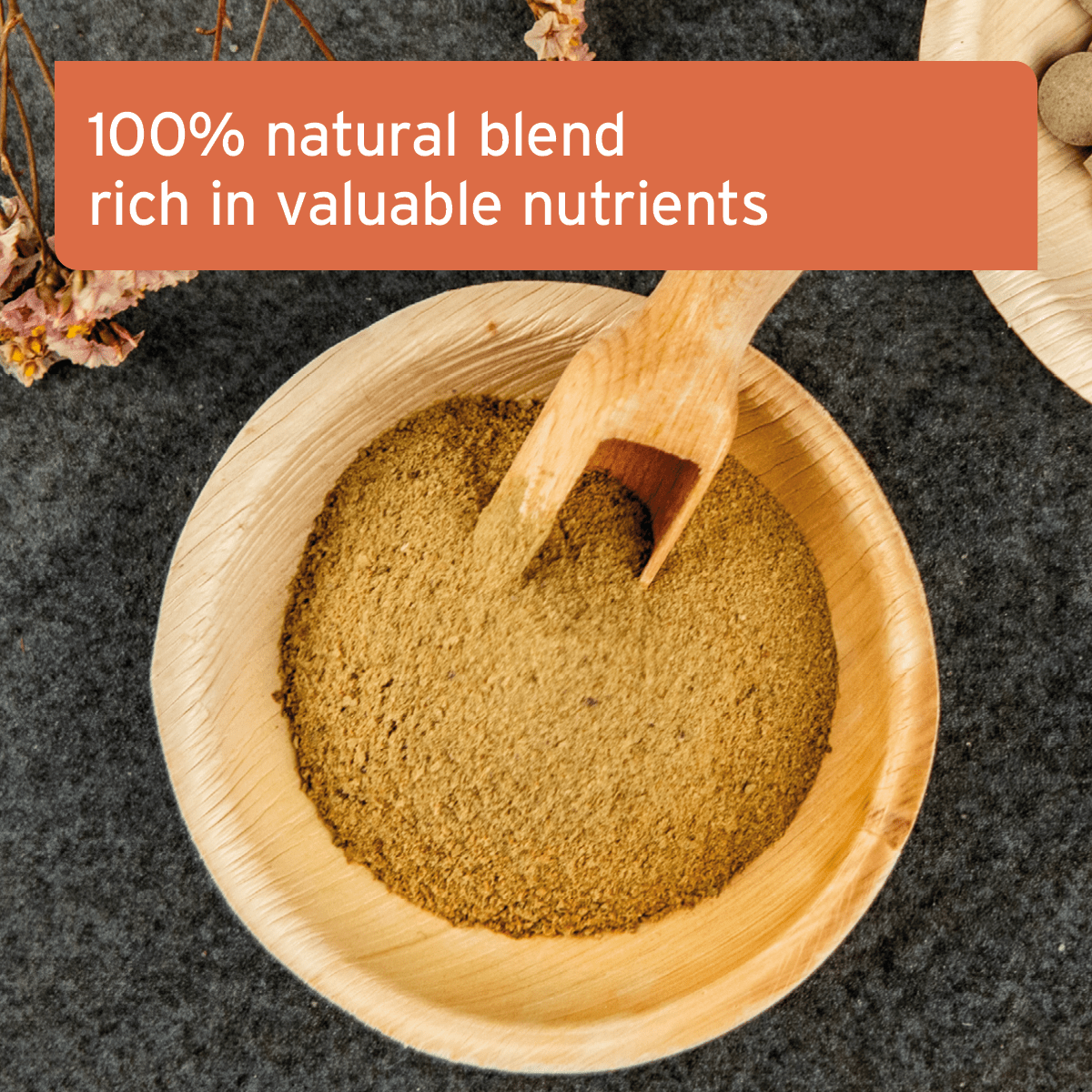 MultiVETAL Powder 100g - Natural Vitamin and Mineral Supplement for Dogs & Cats - AniForte UK