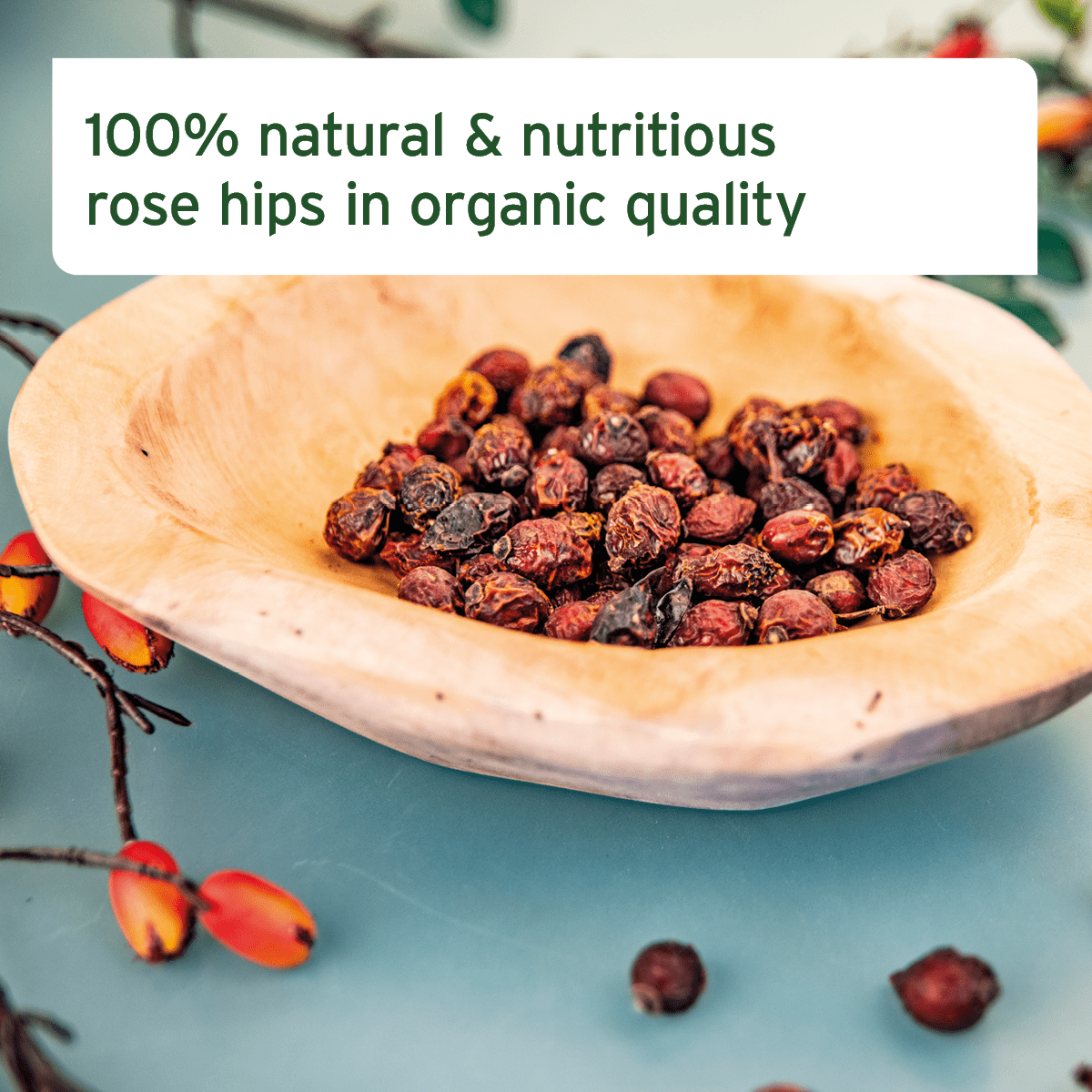 Organic Rose Hips For Horses 1kg - AniForte UK