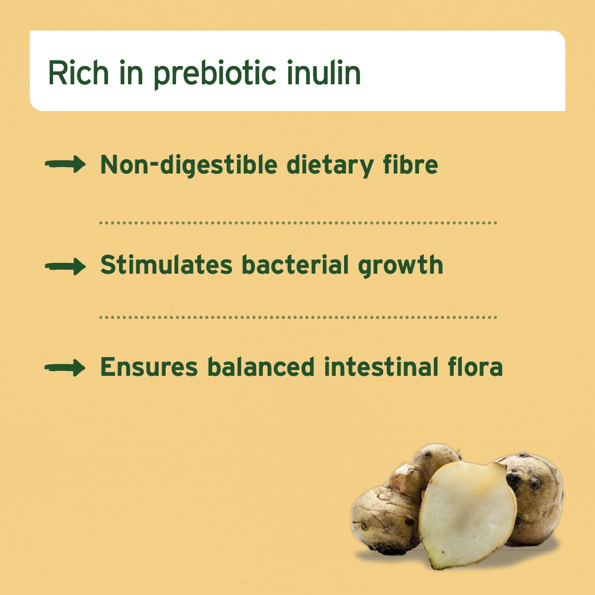 Prebiotic Jerusalem Artichoke Concentrate for Cats and Dogs - 30 ml - Natural intestinal regulator - AniForte UK