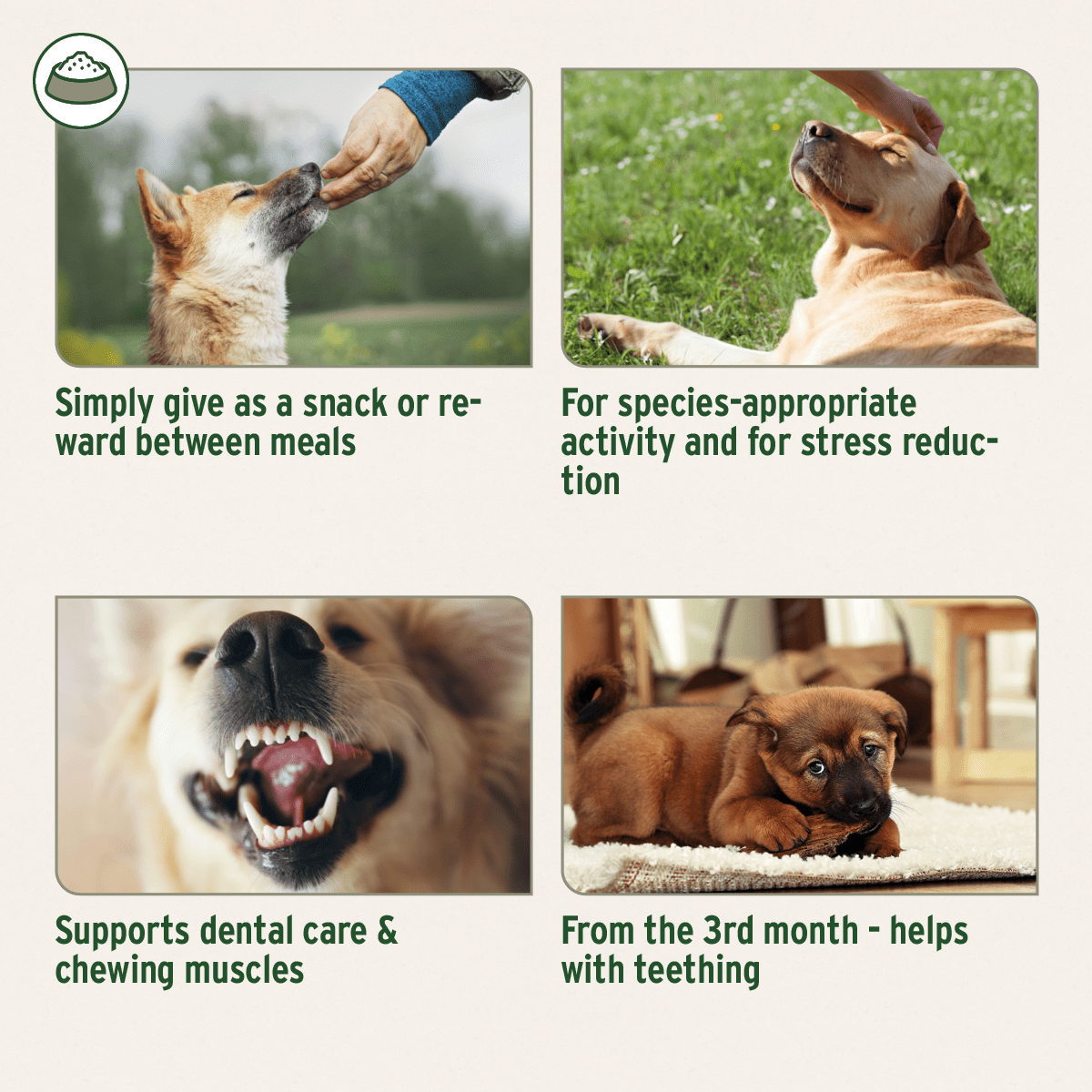 Rabbit Ears with Fur - AniForte UK