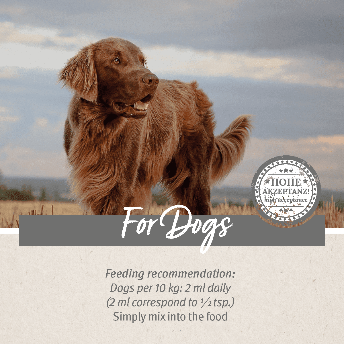 SALE Premium Feed Oil for Dogs 1L BBD 07/26 - AniForte UK