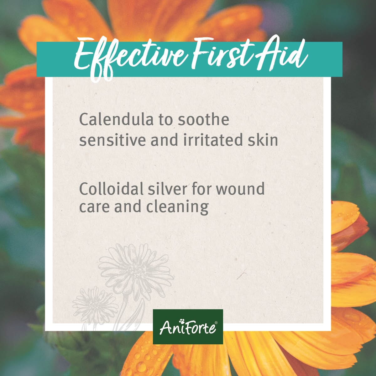 SALE - VET Ear Drops - AniForte UK