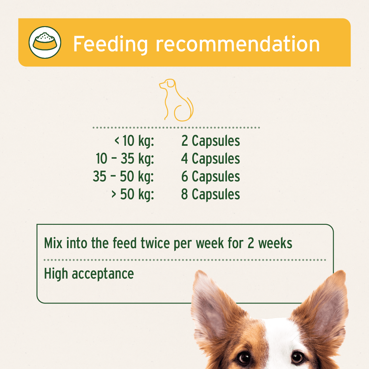 SALE Wermix Capsules for Dogs - 50 Capsules 28/03 - AniForte UK