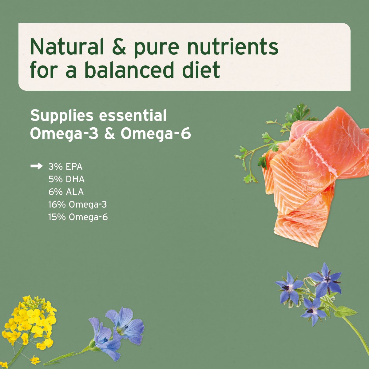 Salmon Oil for Dog, Cat & Horse - Natural Omega - 3 EPA - AniForte UK