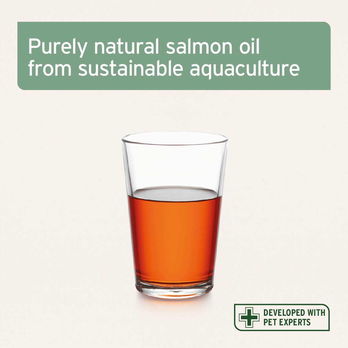 Salmon Oil for Dog, Cat & Horse - Natural Omega - 3 EPA - AniForte UK