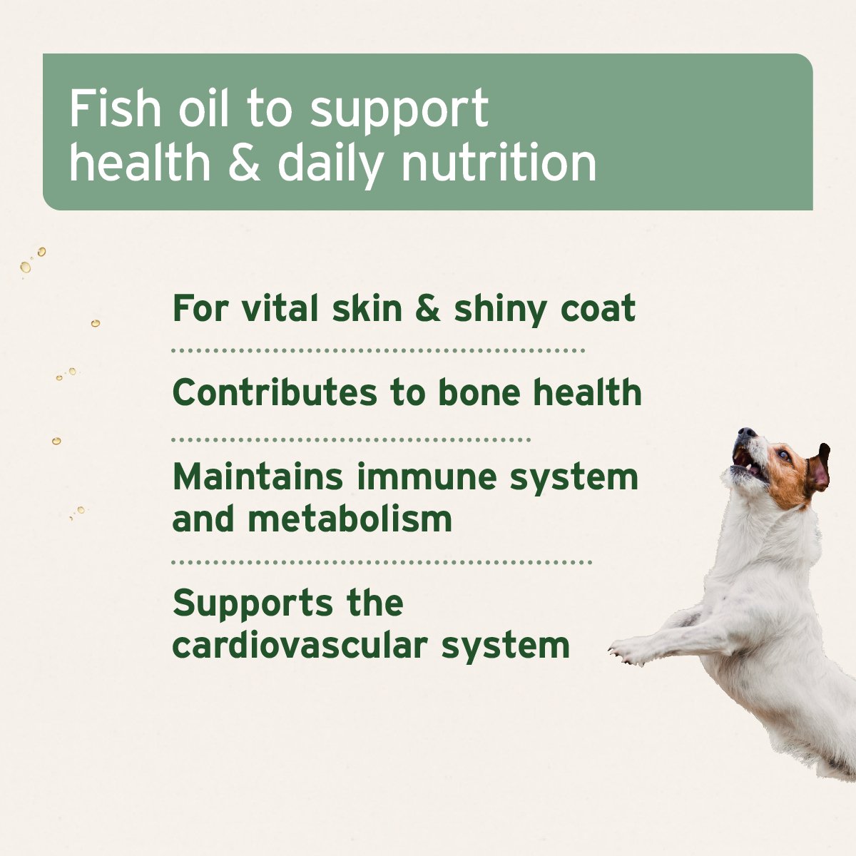 Salmon Oil for Dog, Cat & Horse - Natural Omega - 3 EPA - AniForte UK