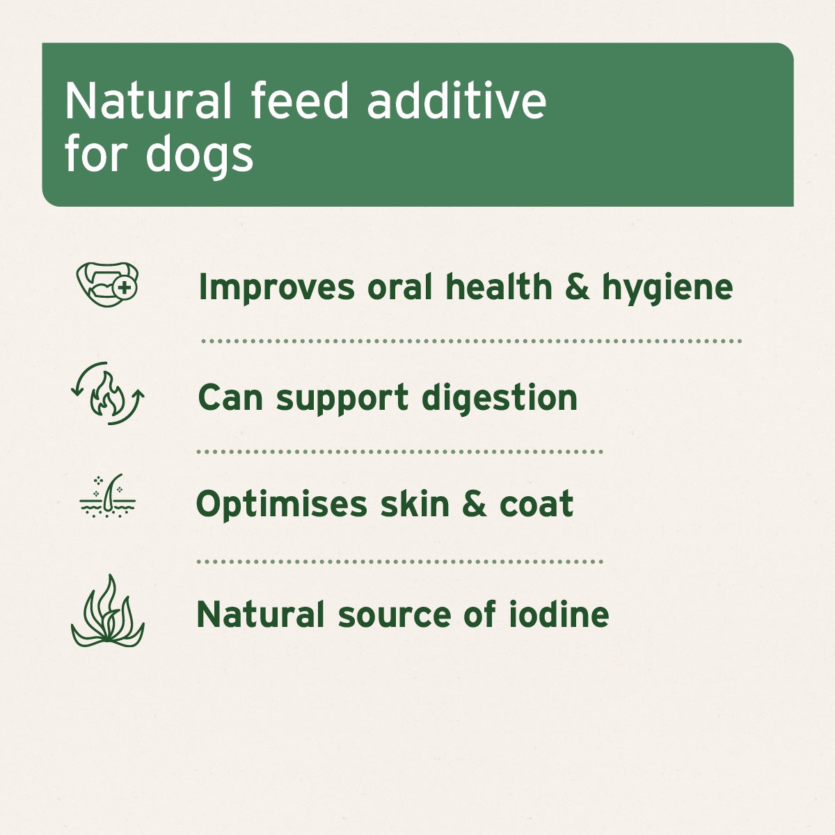 Seaweed Powder for Dogs - 250g - AniForte UK