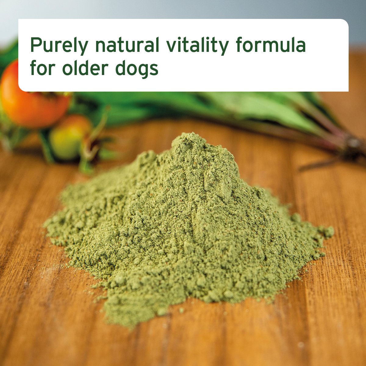 Senior Active Supplement 250g - Vitality & Agility for Older Dogs - AniForte UK