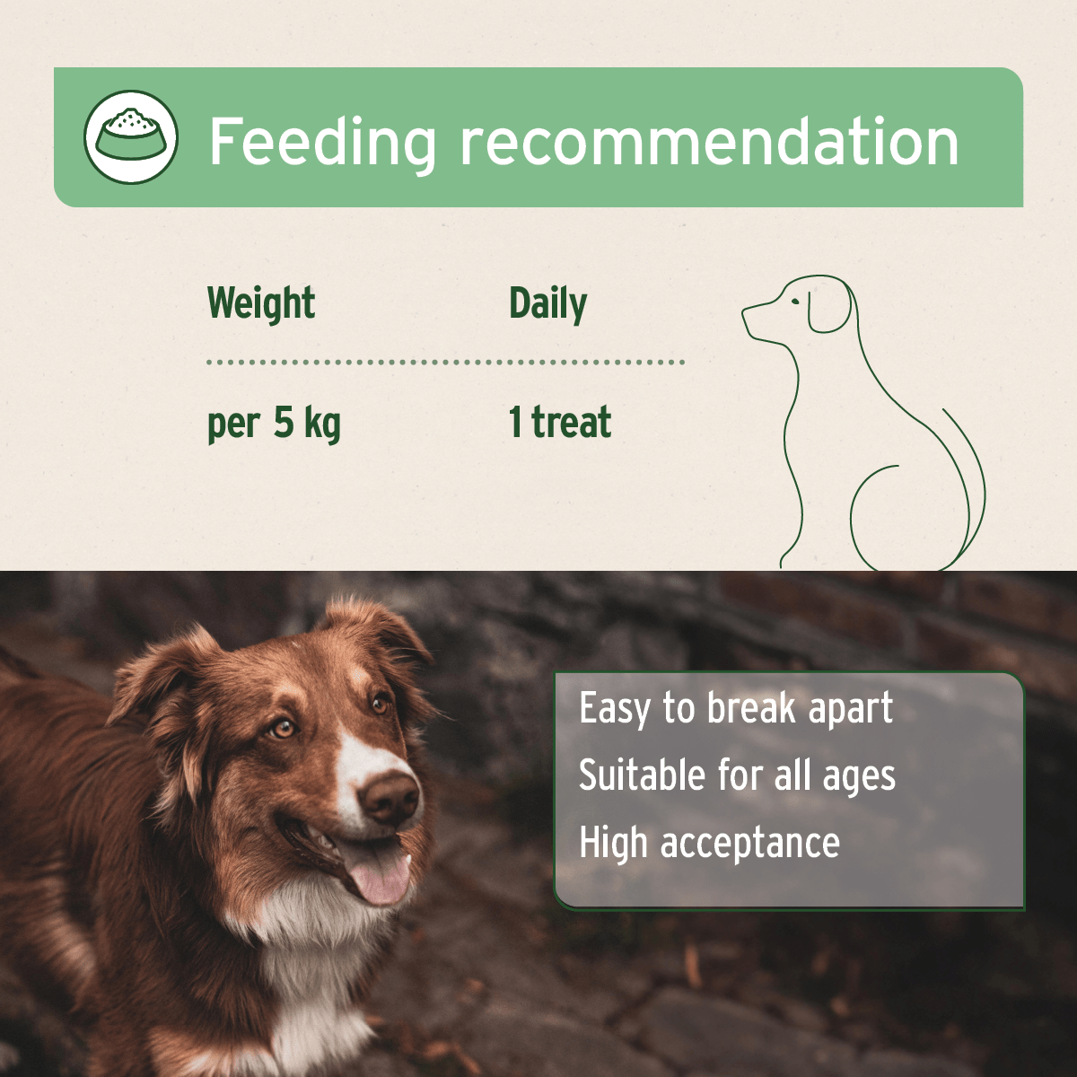 Summer Season Snacks 300g - AniForte UK