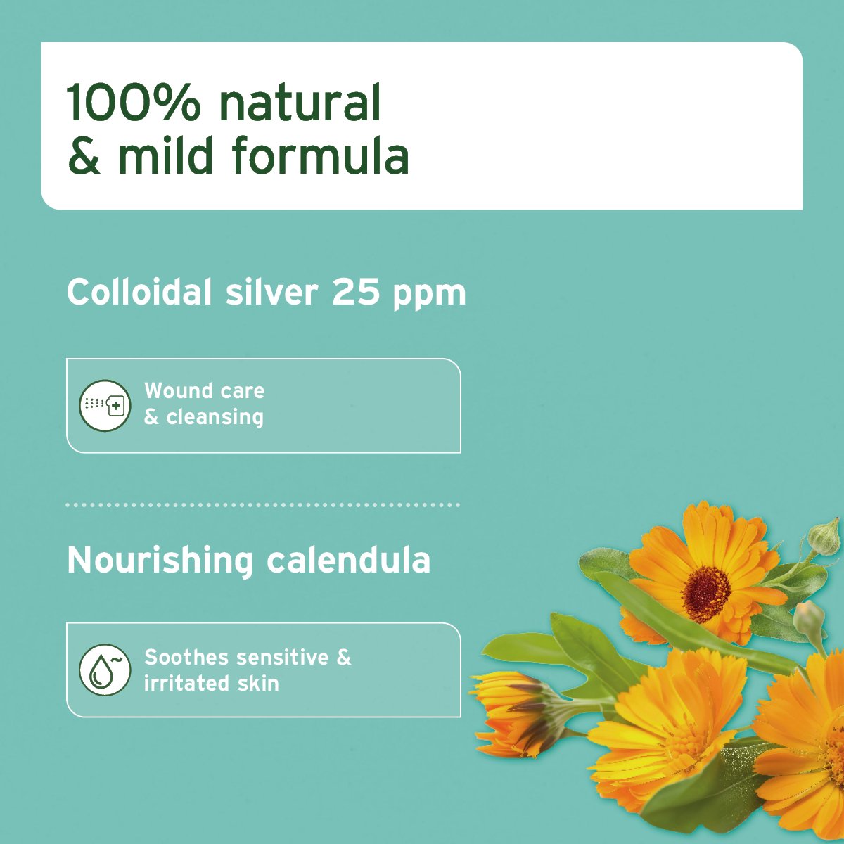 VET Ear Drops - AniForte UK