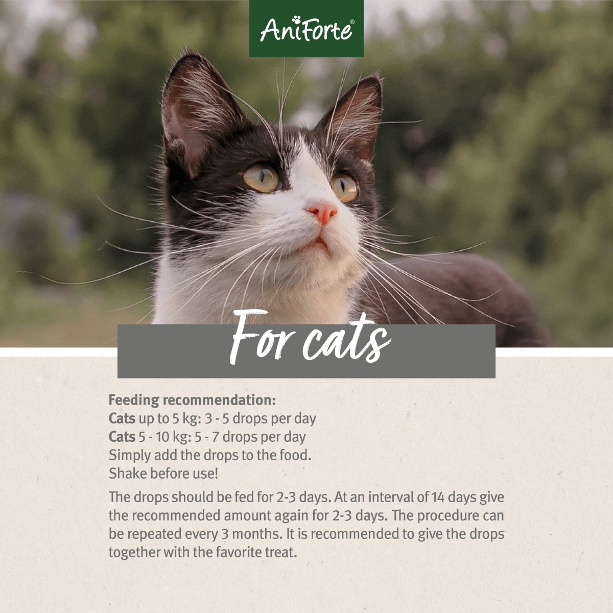 Wermix Liquid for Cats - 50ml - AniForte UK