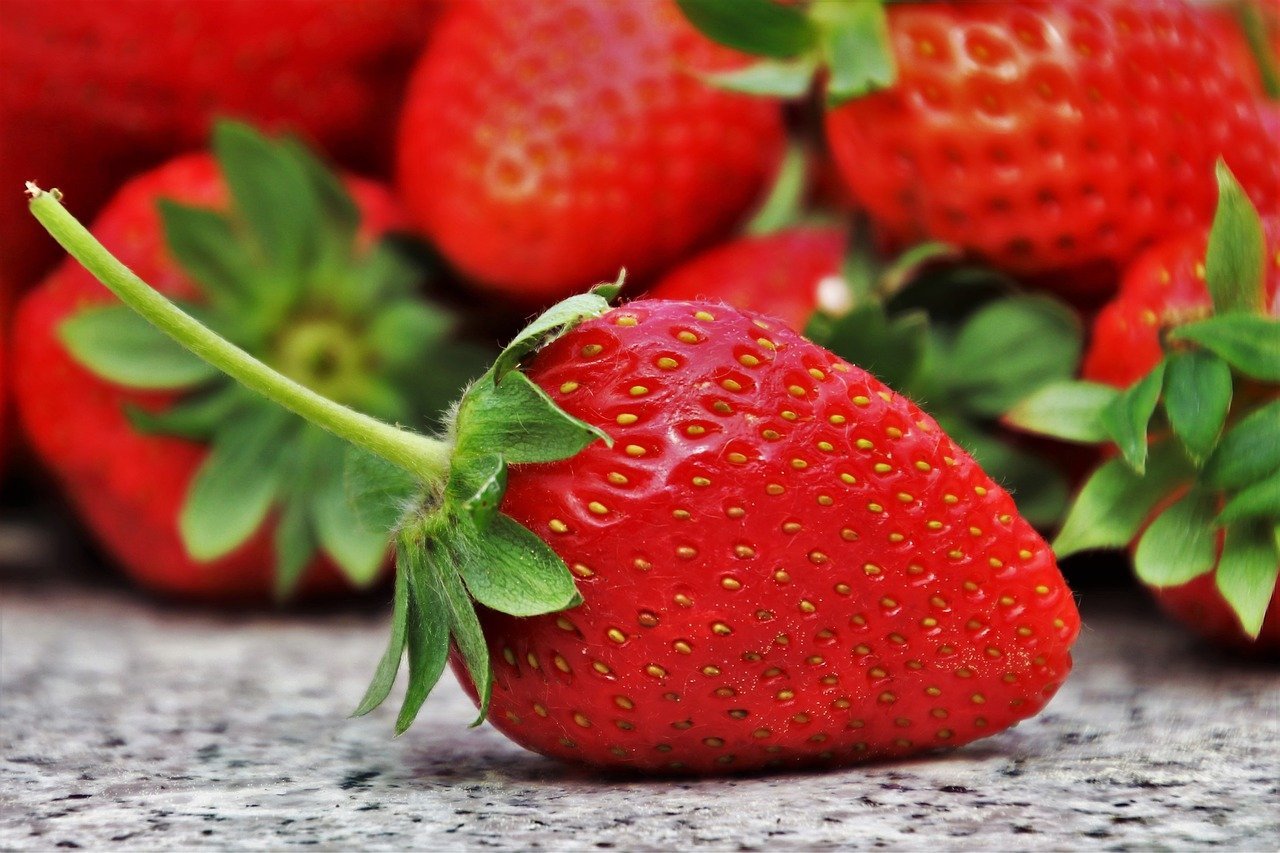 Can Dogs Eat Strawberries? - AniForte UK