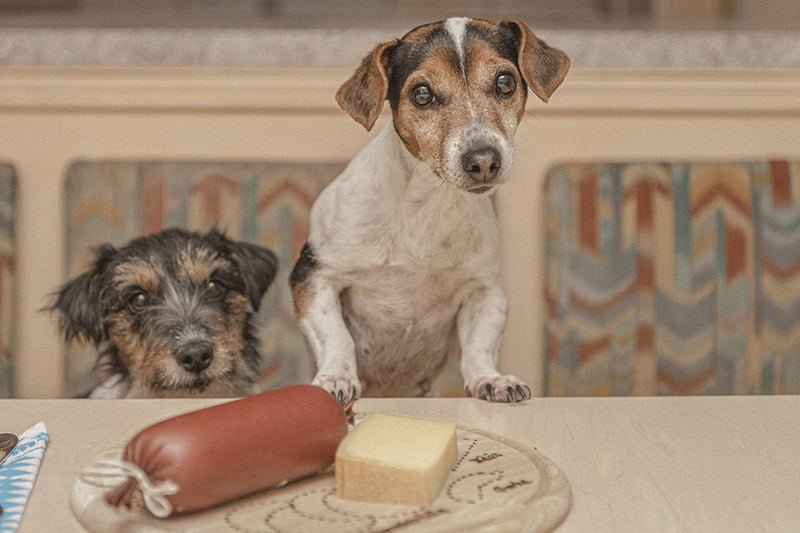 Do It Yourself – Liver Sausage For Your Dog! - AniForte UK