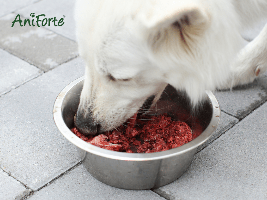 Explore the AniForte BARF range: Which Raw Feeding Essential Is Your Pet's Favourite? - AniForte UK