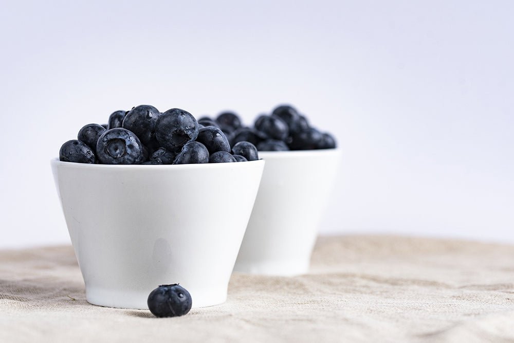 Should Dogs Eat Blueberries? - AniForte UK