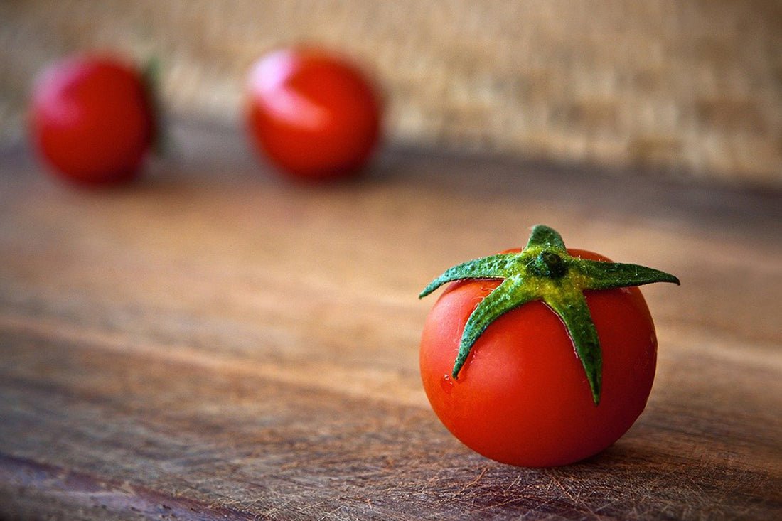 Should Dogs Eat Tomatoes? - AniForte UK