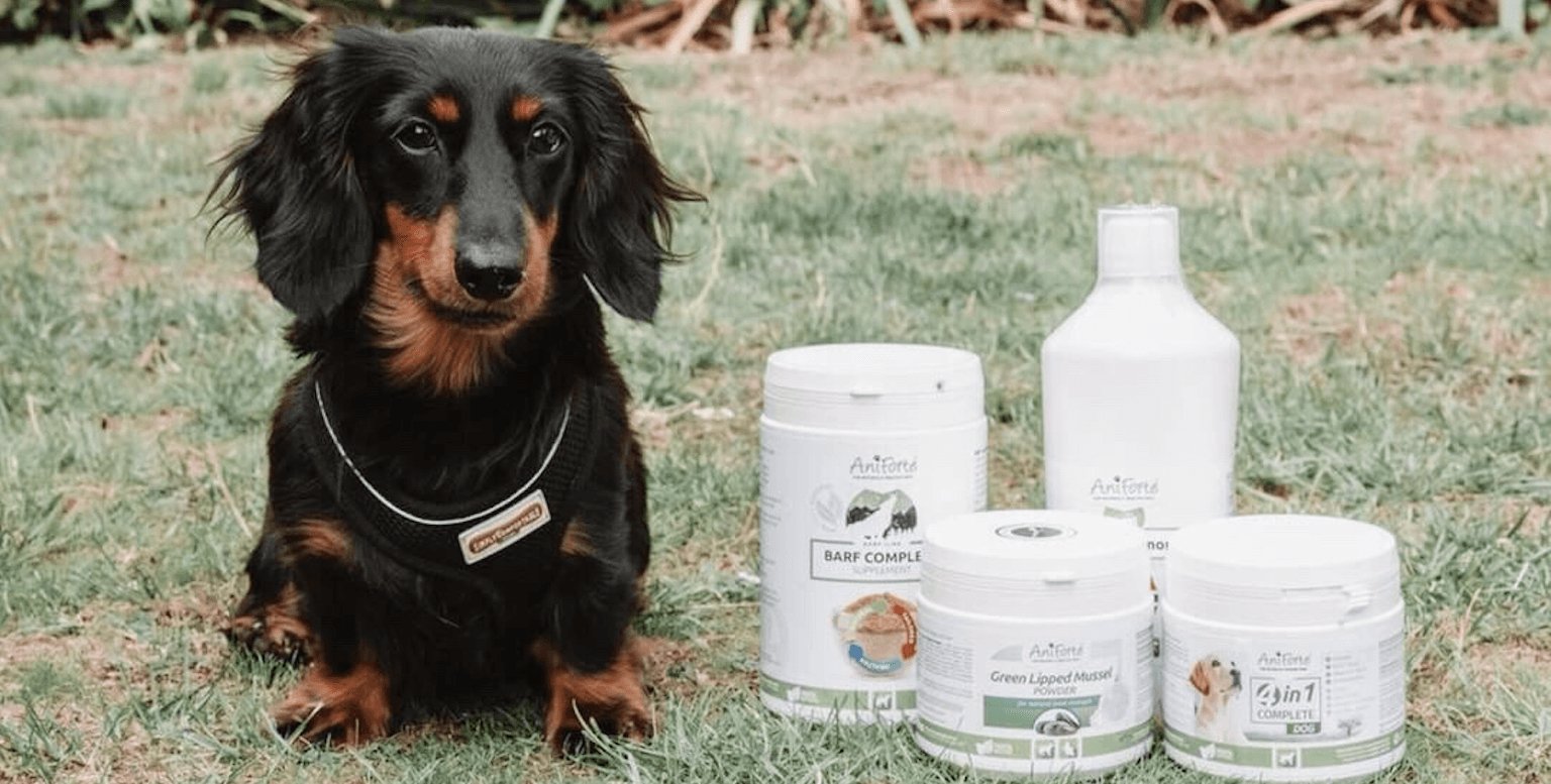 Almost Perfect - AniForte UK