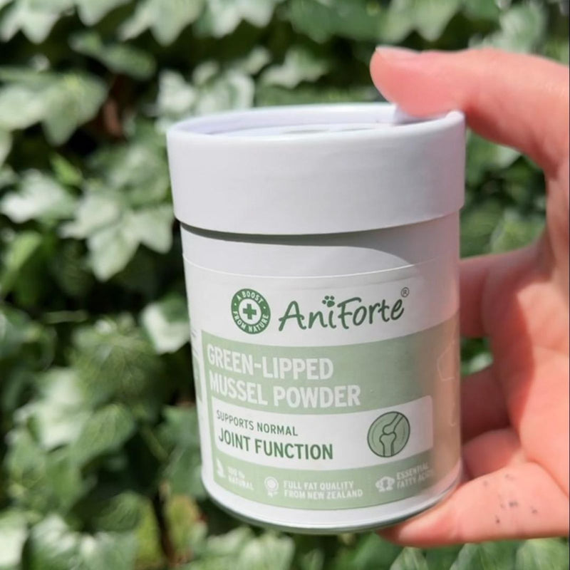 AniForte Green-Lipped Mussel Powder pack