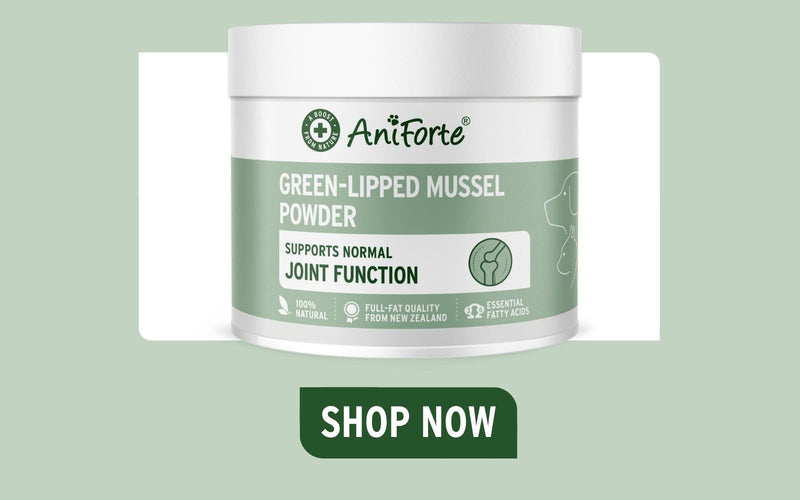 AniForte Green-Lipped Mussel Powder