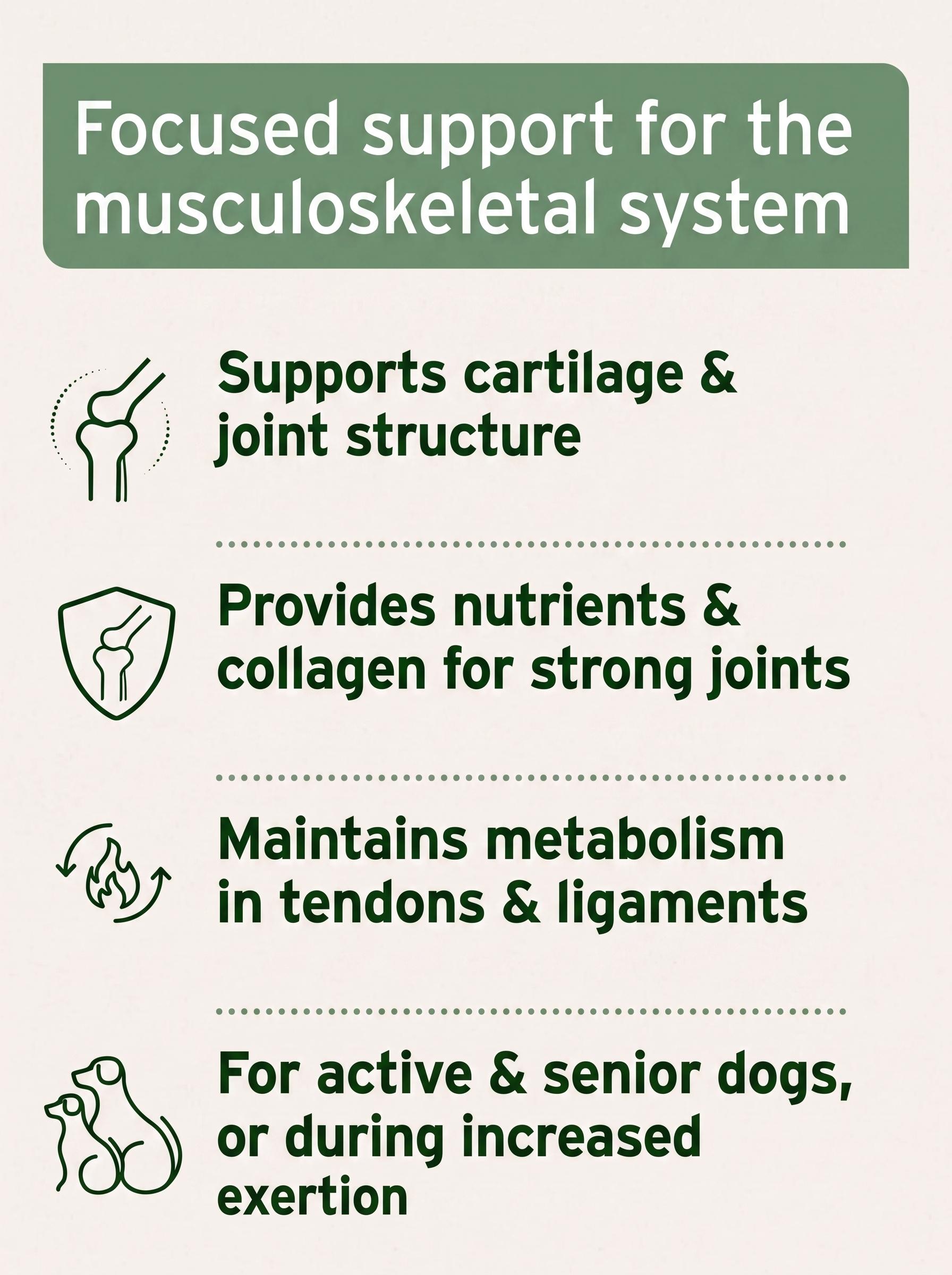 Joint Tablets with MSM (150 Tabs)