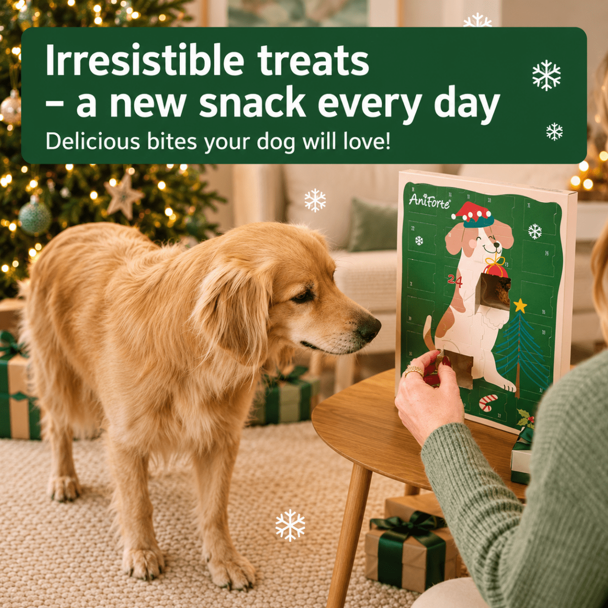 Advent Calendar for Dogs - AniForte UK