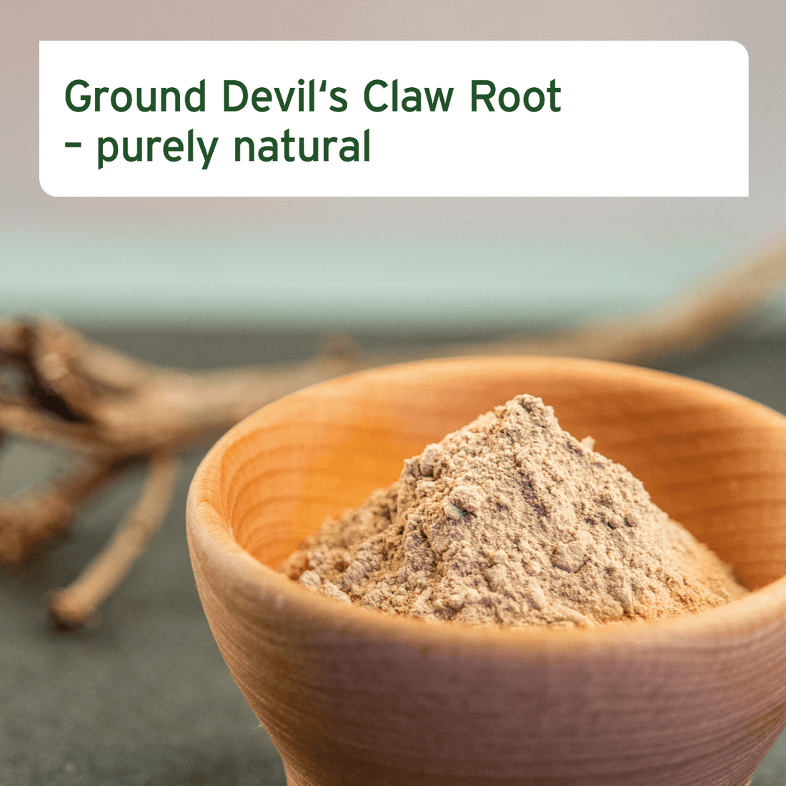 African Devil's Claw for Horses