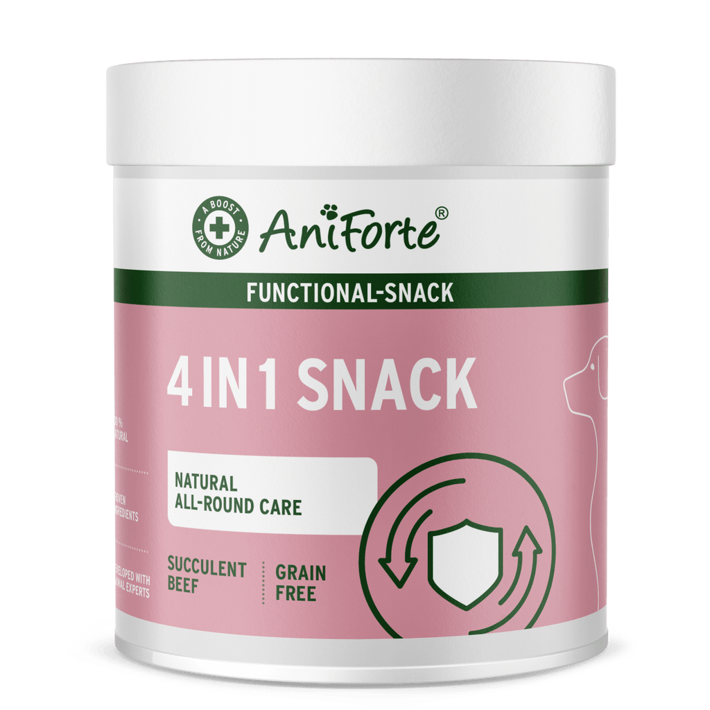 4in1 Snacks
