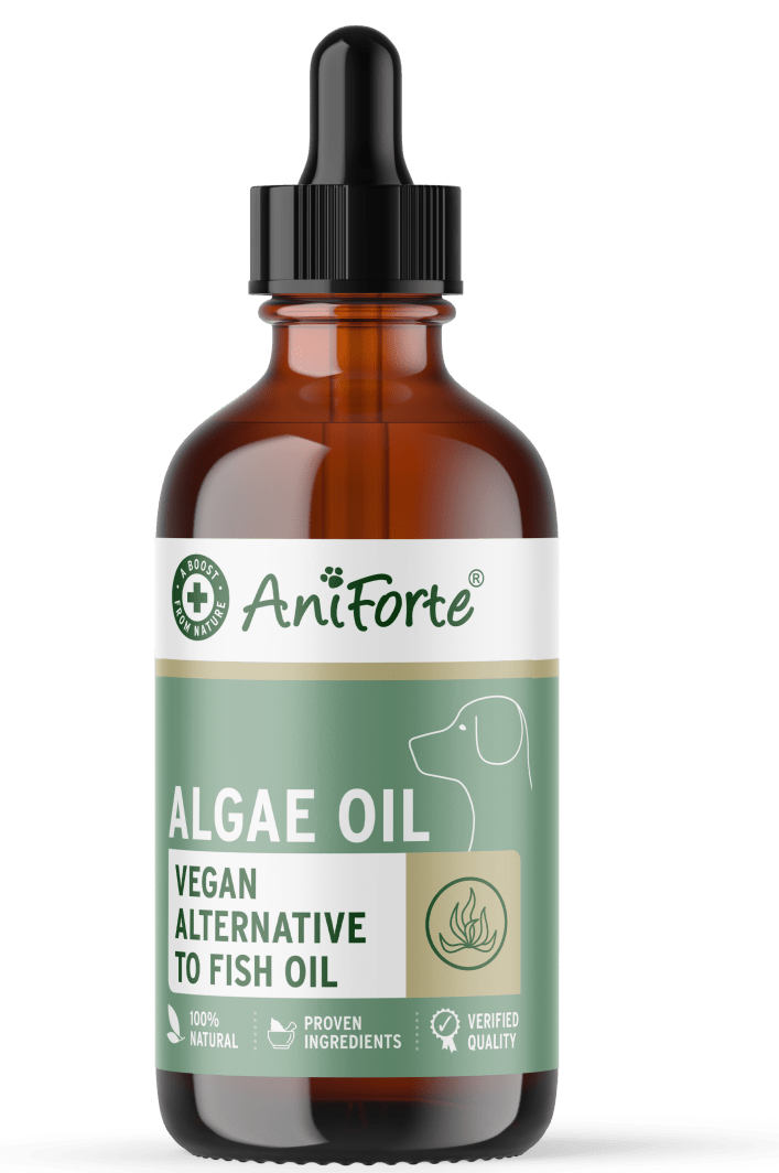 AniForte® Algae Oil 50ml - AniForte UK