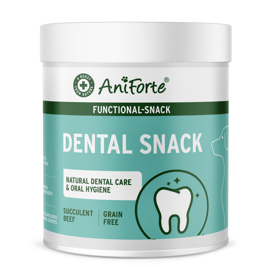 Dental Snack
