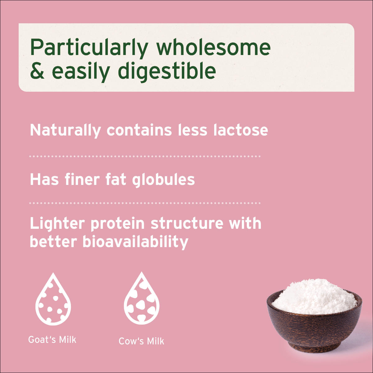 AniForte® Goat Milk Powder 500g - AniForte UK