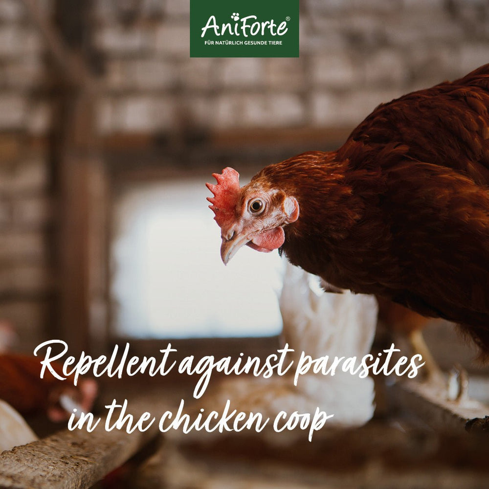 AniForte MiteSTOP Spray for Chickens
