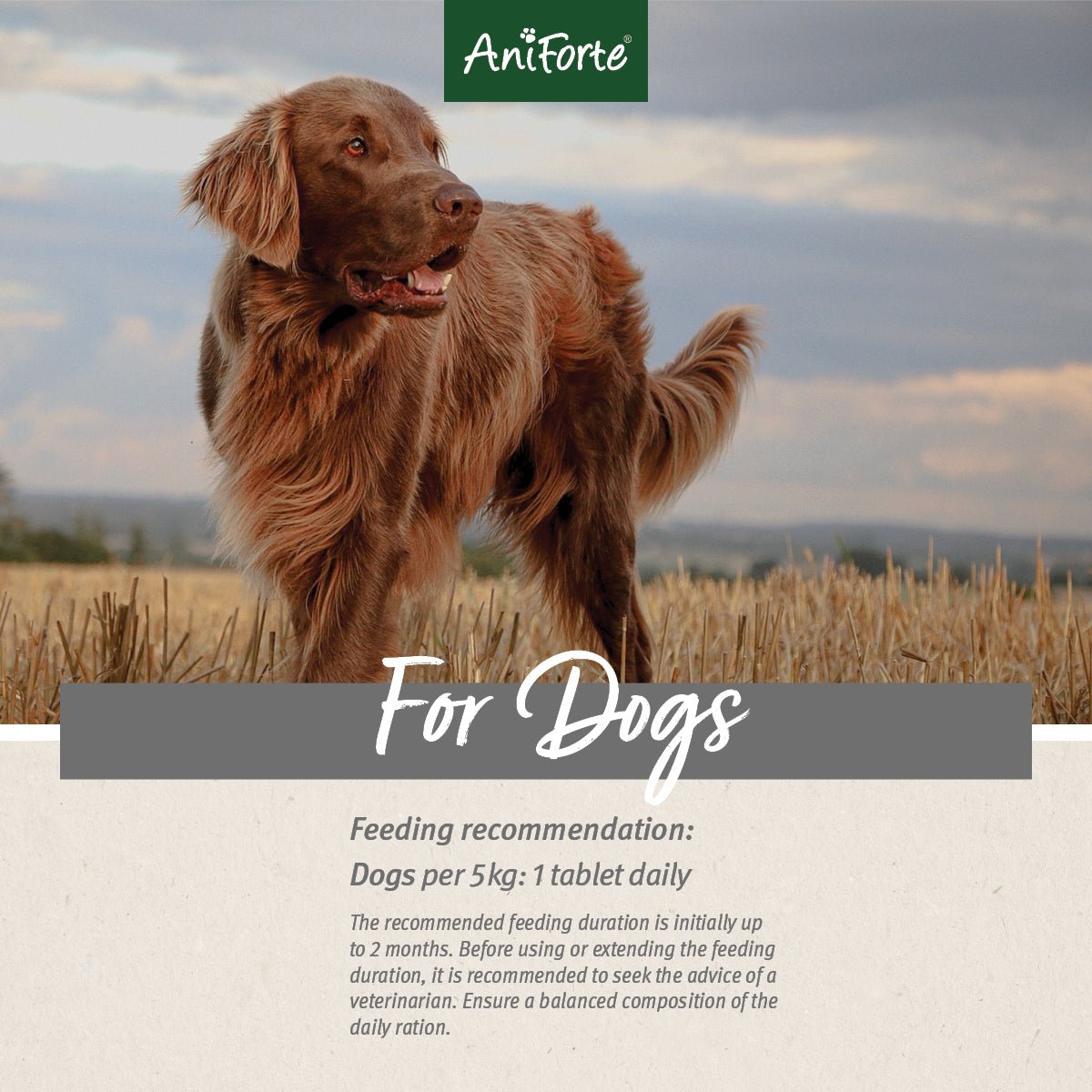 Aniforte® plus Fur & Skin - AniForte UK
