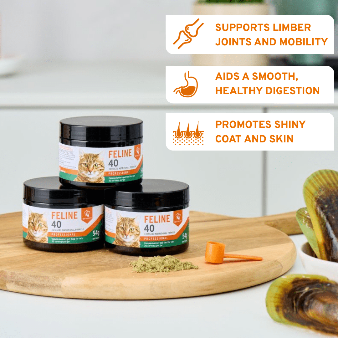 AniForte® Professional Feline 40 - AniForte UK