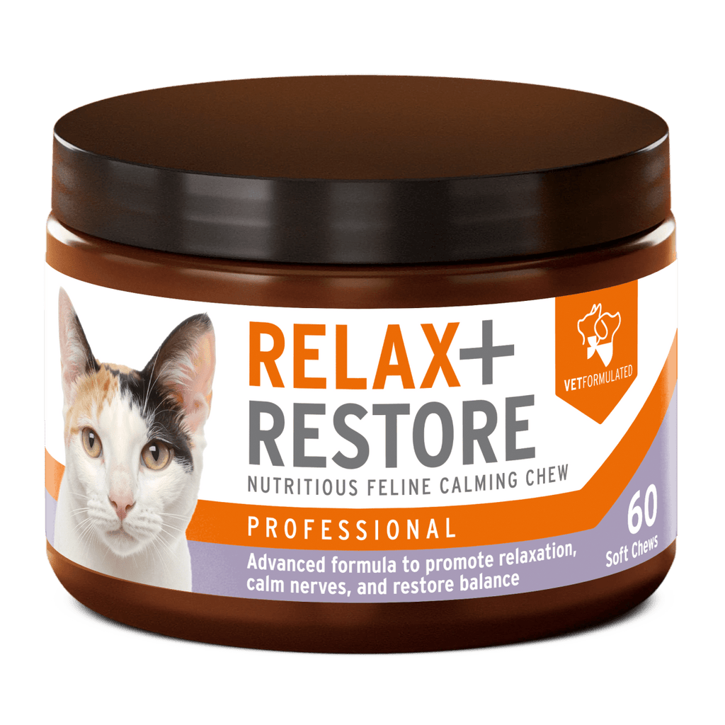 Relax + Restore Cats
