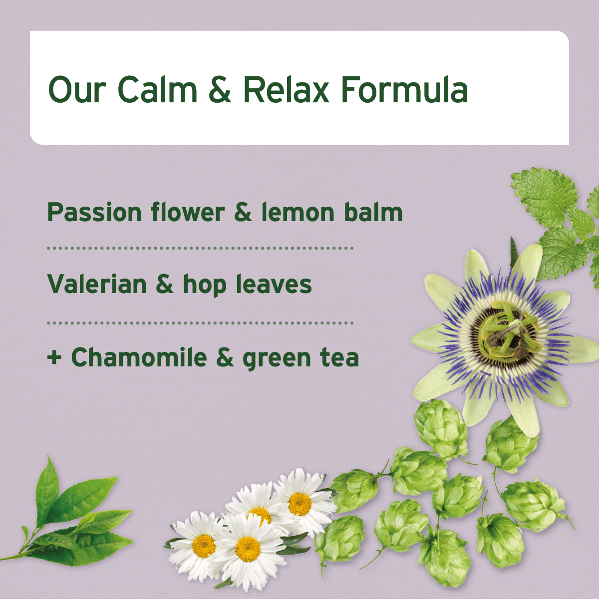 AniForte® Relax Snack - AniForte UK