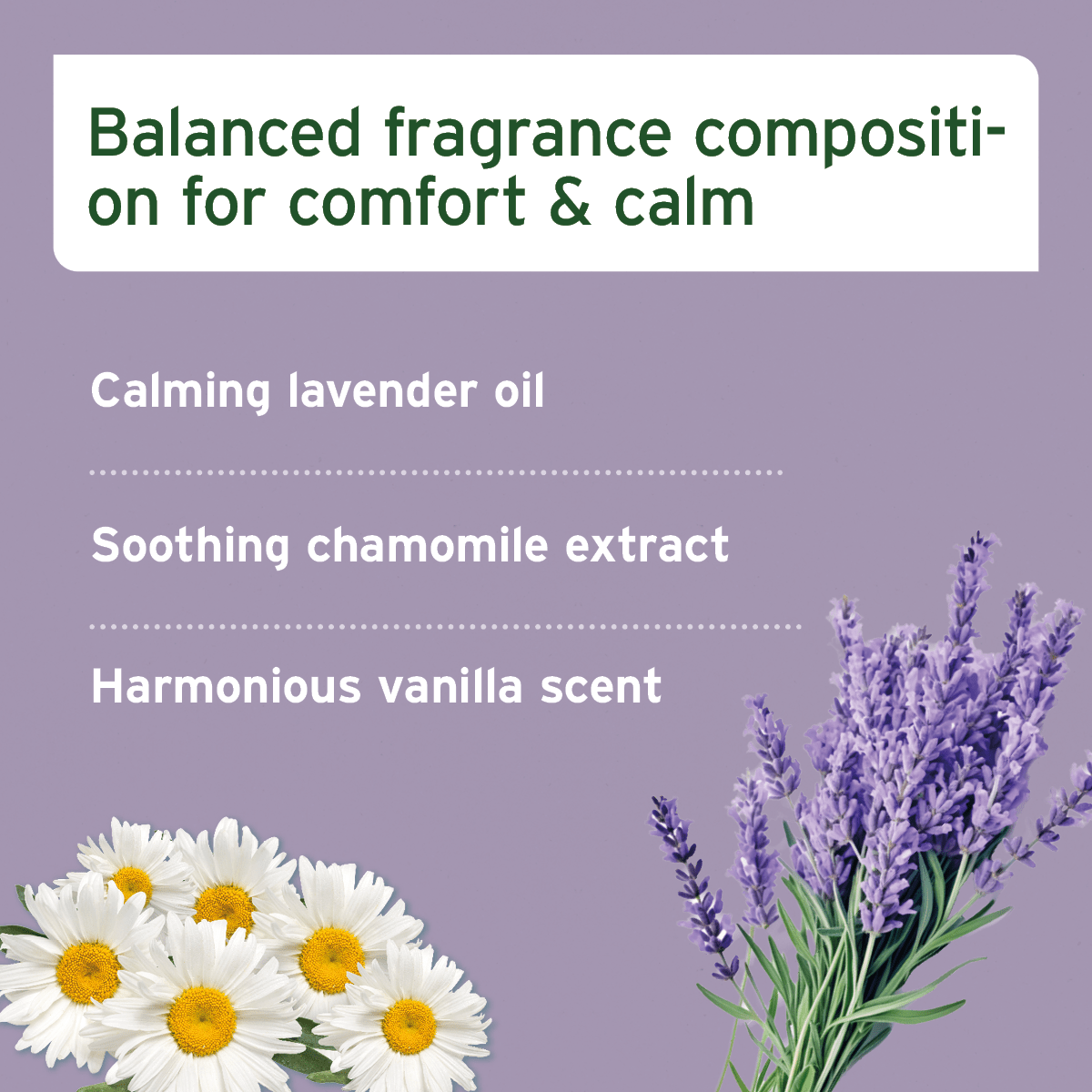 AniForte® Relax Spray 100ml - AniForte UK